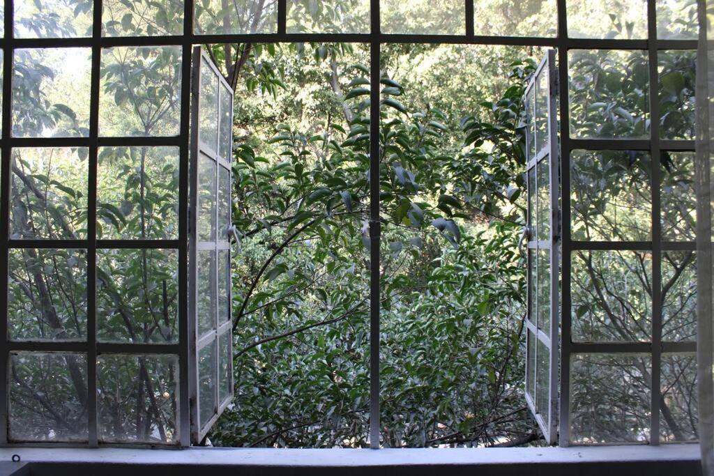 Apartmán Am Condesa Ciudad de México Exteriér fotografie